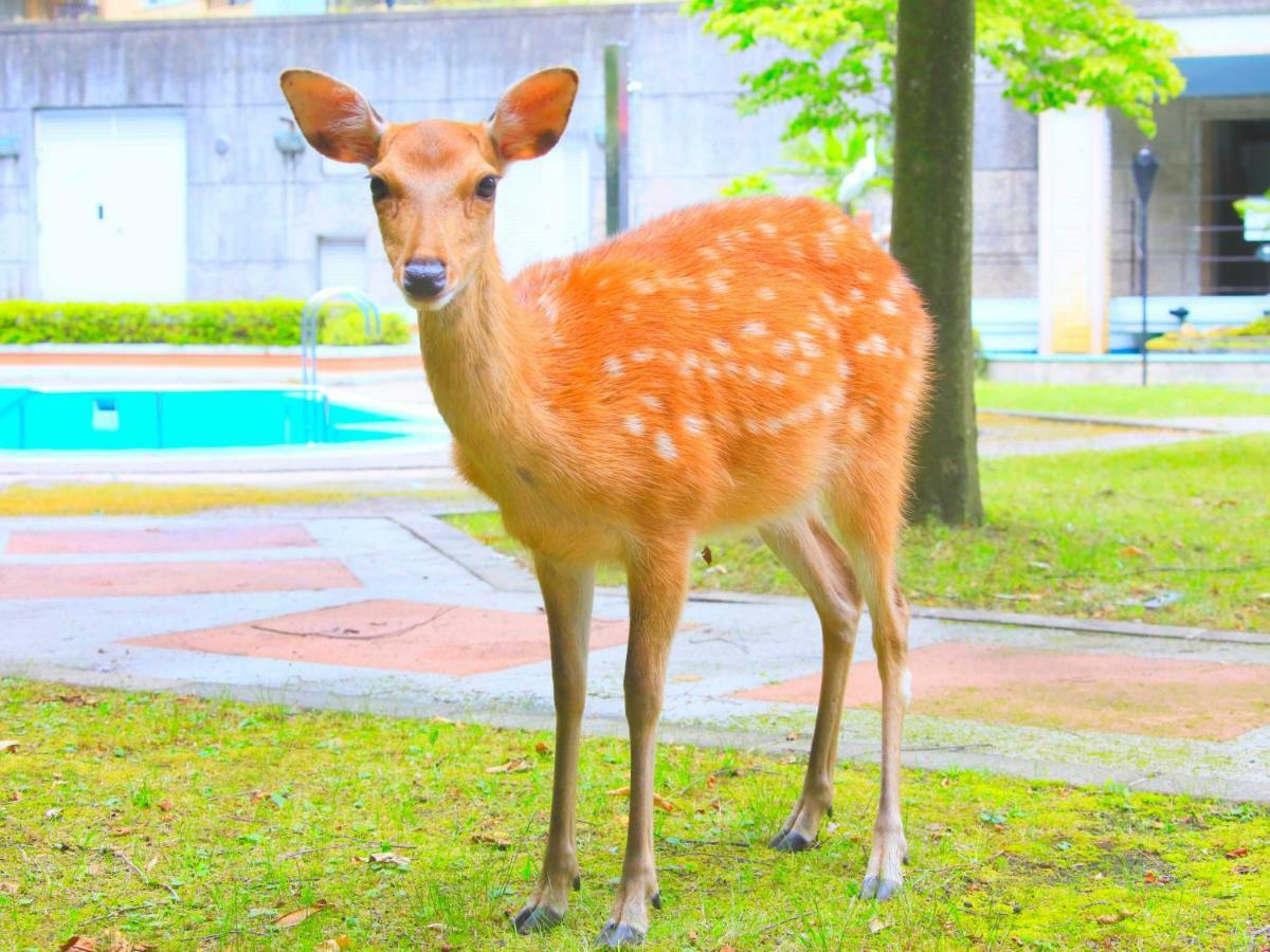 Reyzenit Kinosaki Suite Villa Тоёока Экстерьер фото